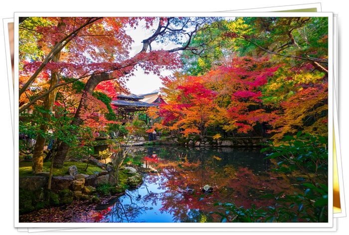 南禅寺 天授庵の日本庭園
