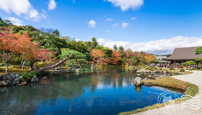 天龍寺の紅葉の季節の見どころ 曹源池庭園