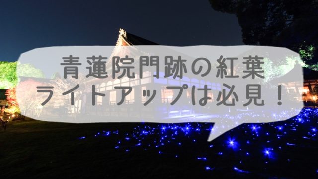 青蓮院門跡の紅葉 秋の夜間ライトアップは必見!