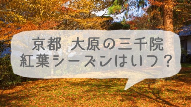 京都 大原 三千院の紅葉シーズンはいつ？