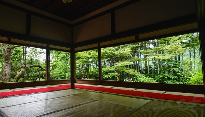 京都の大原にある宝泉院の額縁庭園「盤桓園（ばんかんえん）」
