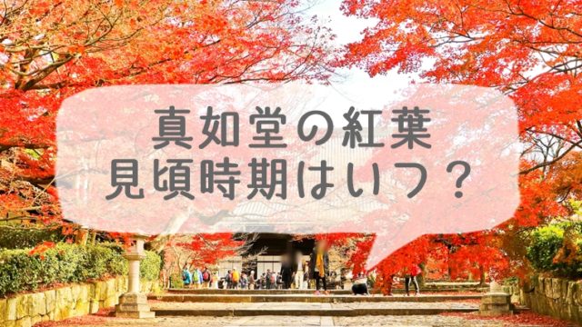 京都 真如堂の紅葉の見頃時期はいつ？