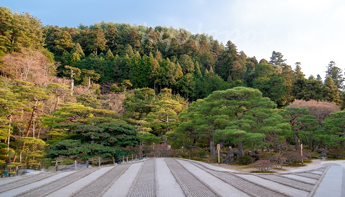 京都の世界遺産 銀閣寺（東山慈照寺）の自然