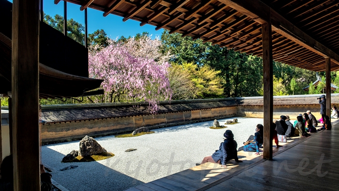 京都の世界遺産 龍安寺の石庭