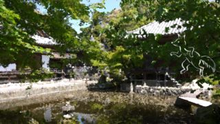 京都の世界遺産 高山寺