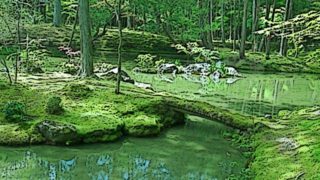 京都の世界遺産 西芳寺(苔寺)