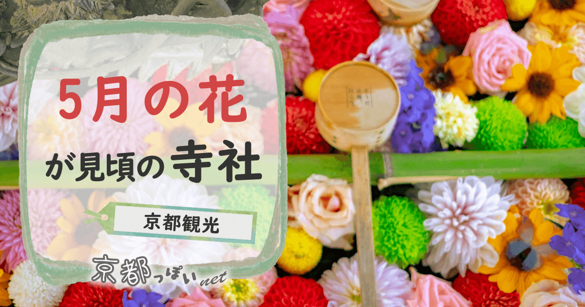 京都観光のおすすめ 5月の花が見頃のお寺や神社一覧！