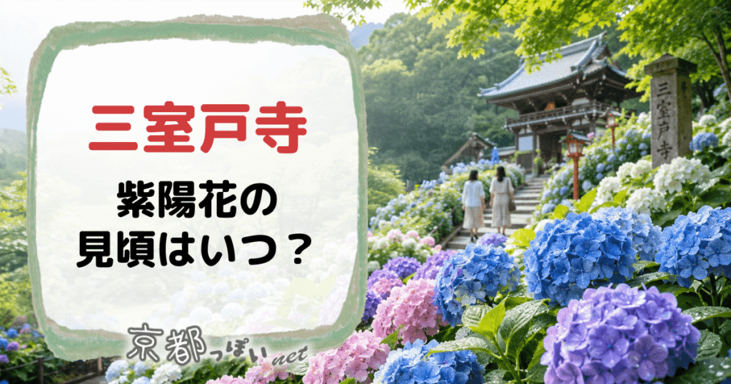 三室戸寺の紫陽花の見頃はいつ？ライトアップなど歩き方ガイド